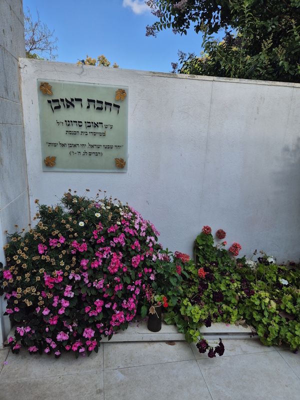 רחבת דאובן